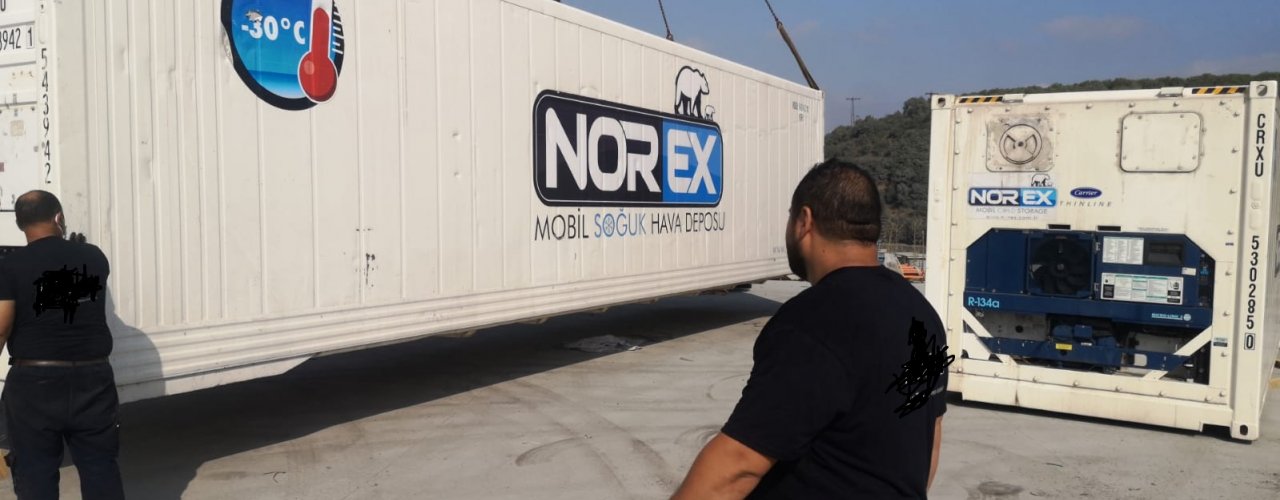 Kuru Meyve İhracatı Yapan Istanbul Merkezli Firma Norex Frigo Konteynerlerini Kiraladı